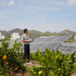 El PNUD e IBM lanzan nuevas herramientas para pronosticar el acceso a la energía y el modelo de equidad energética